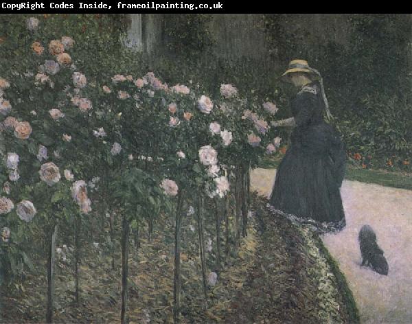Gustave Caillebotte Some Rose in the garden